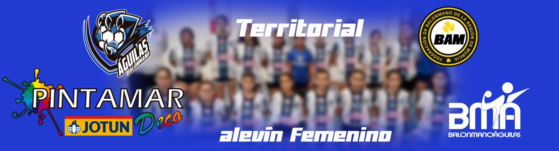 PINTAMAR DECO BALONMANO AGUILAS